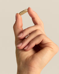 Gentle Iron + Vitamin C Capsules (25mg)
